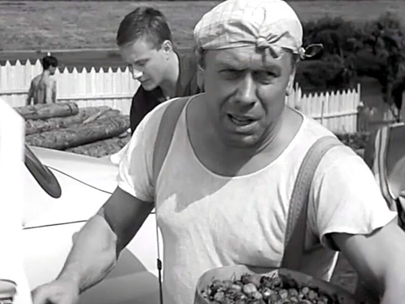 “Берегись автомобиля” (1966) — какого персонажа играет Анатолий Папанов в фильме?