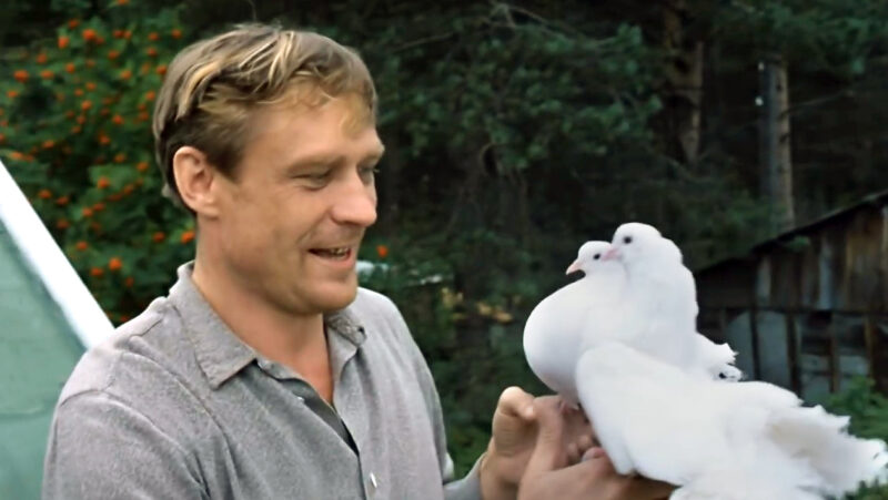 Фильм “Любовь и голуби” (1984) — почему мне не нравится эта комедия