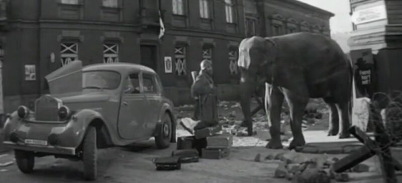 Кадр из фильма "Солдат и слон". Берлин снимали в Советске